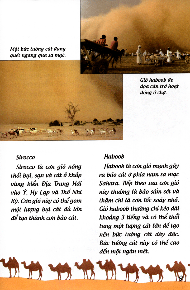 khoa học cứu mạng - phiêu lưu trong sa mạc