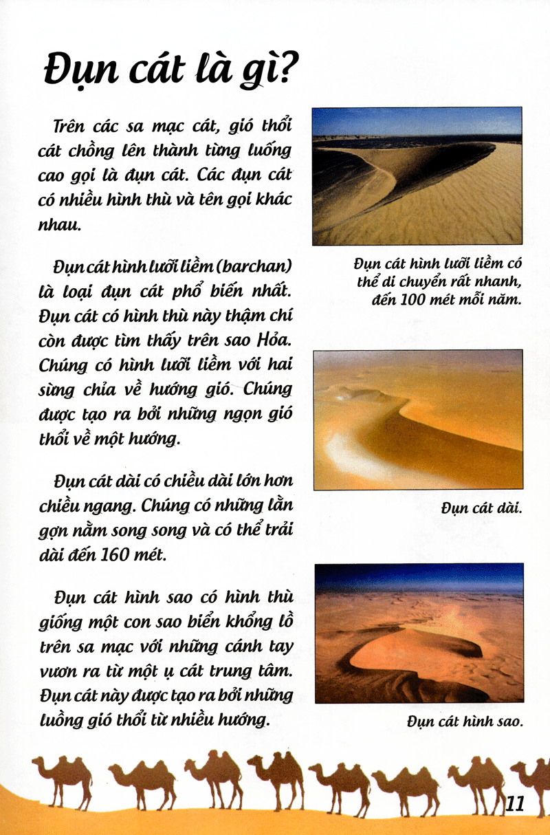 khoa học cứu mạng - phiêu lưu trong sa mạc