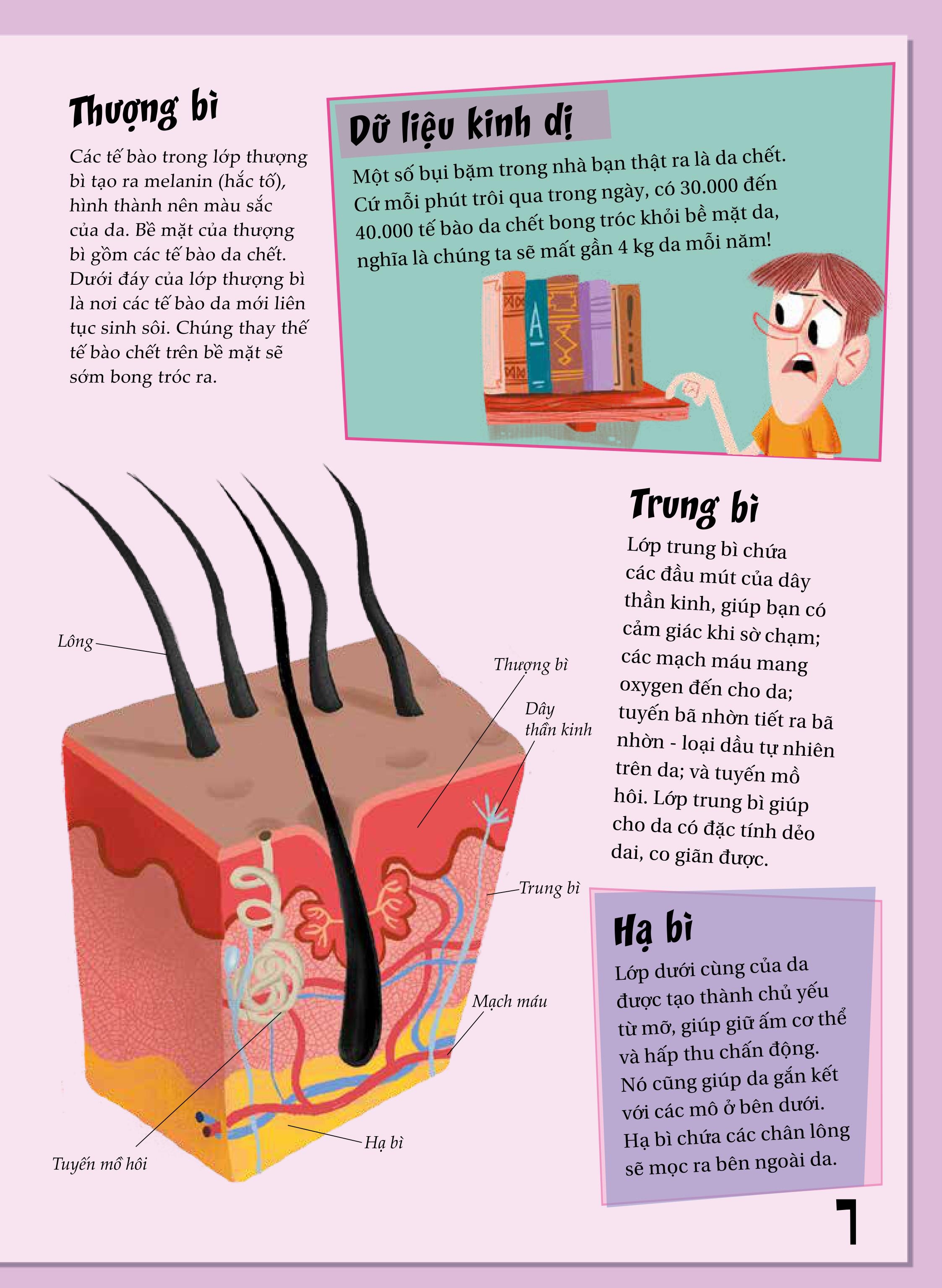 khoa học diệu kì: mụn trứng cá và mụn cóc - sự thật ngứa ngáy về da