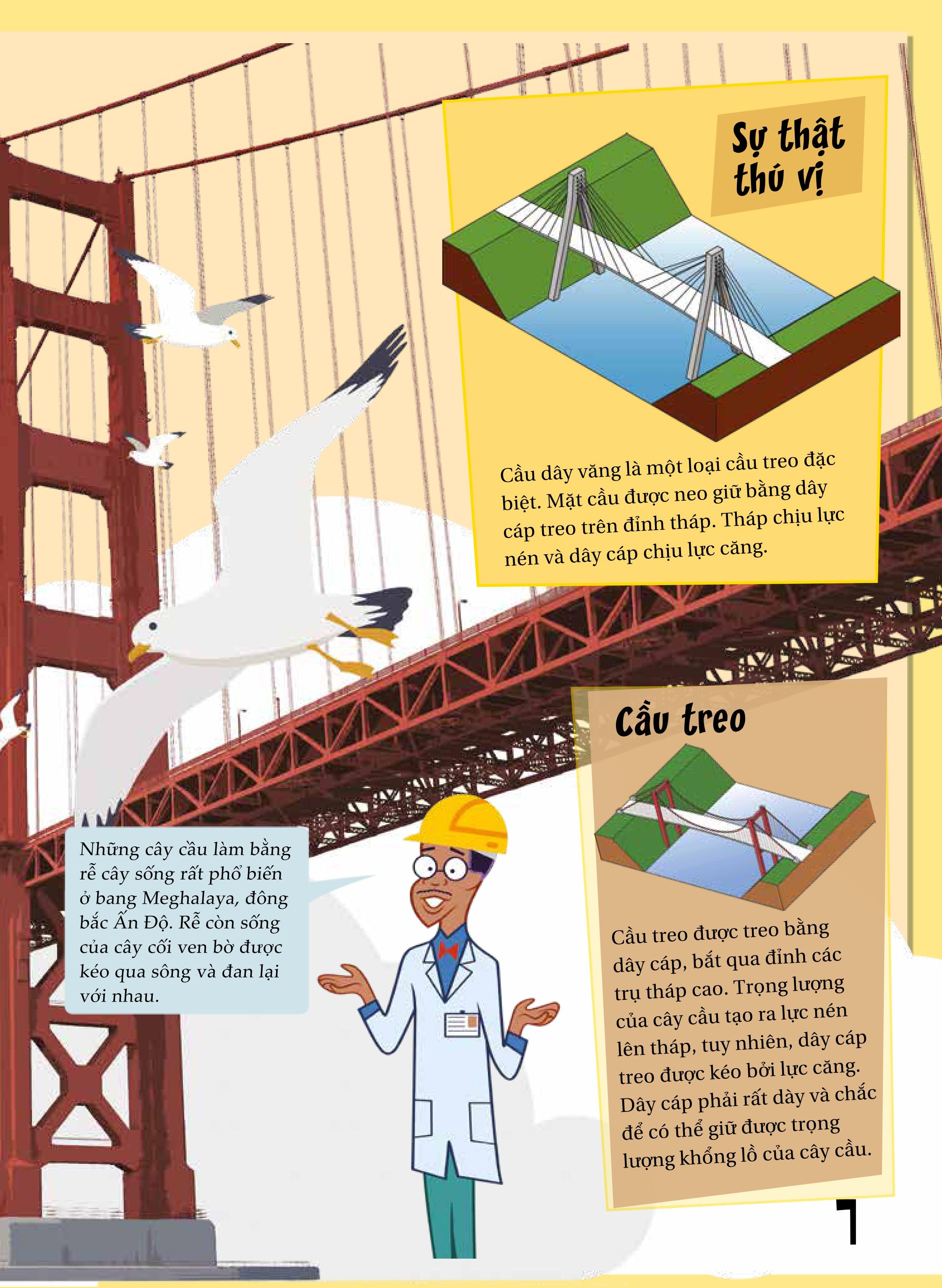 khoa học diệu kì: những cây cầu và đường hầm - nghệ thuật xây dựng