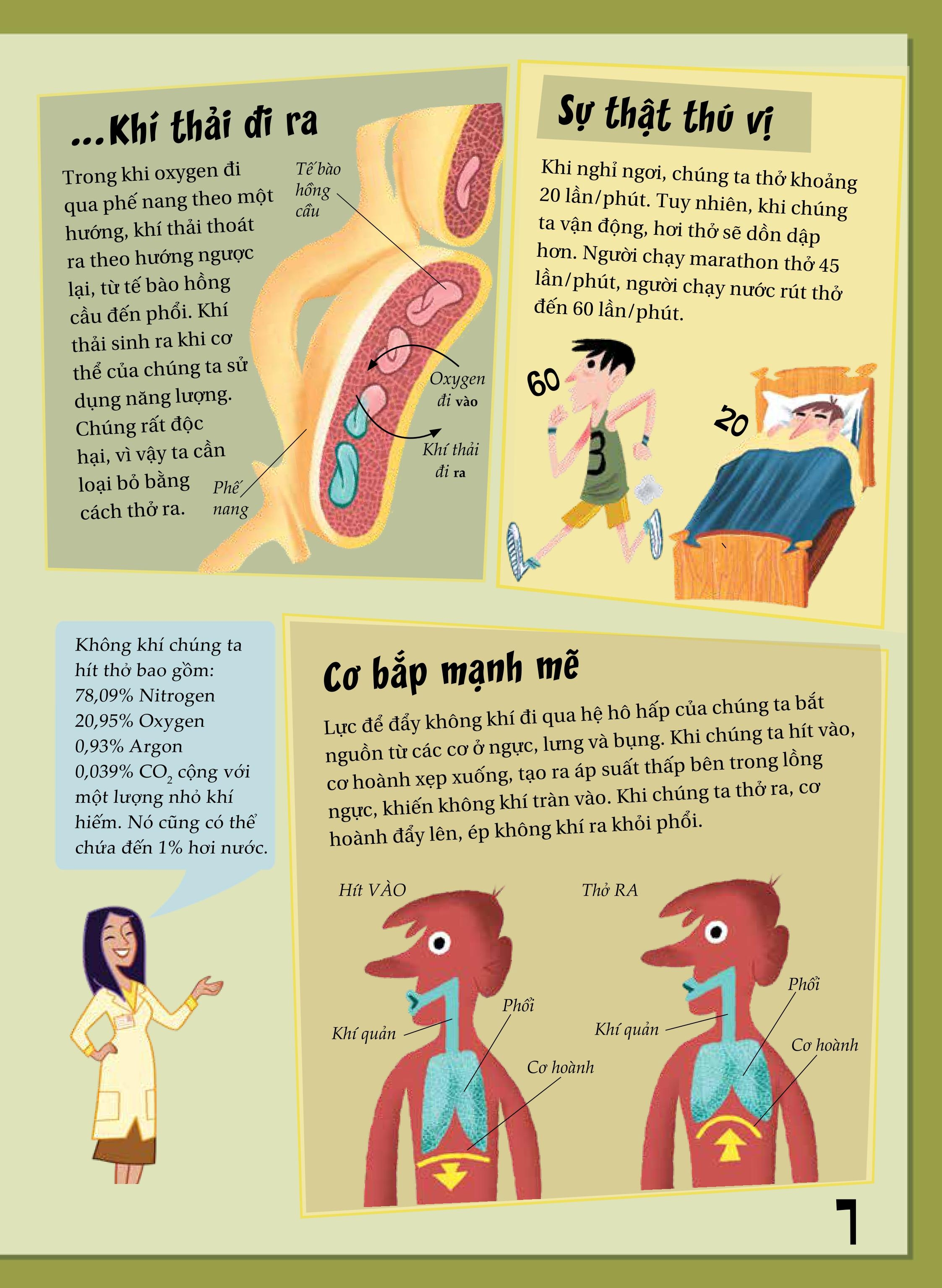 khoa học diệu kì: nước mũi và đờm dãi - sự thật nhầy nhụa về việc hít thở