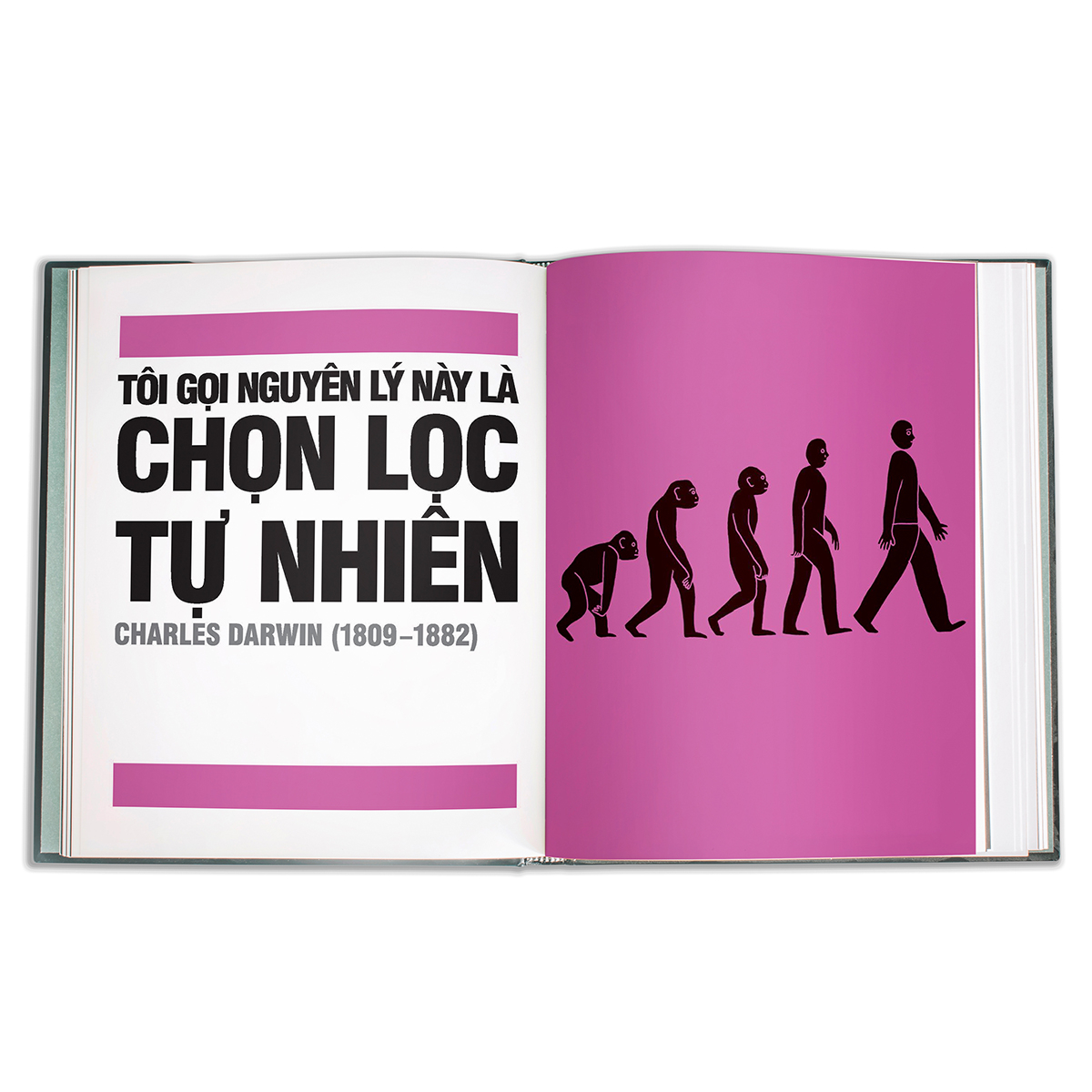 khoa học - khái lược những tư tưởng lớn - bìa cứng (tái bản 2023)