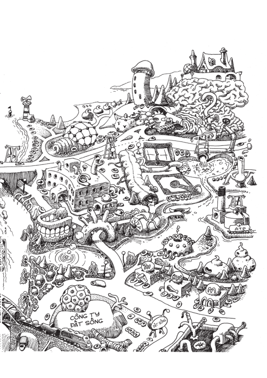 khoa học khám phá - you stay young - bạn mãi trẻ