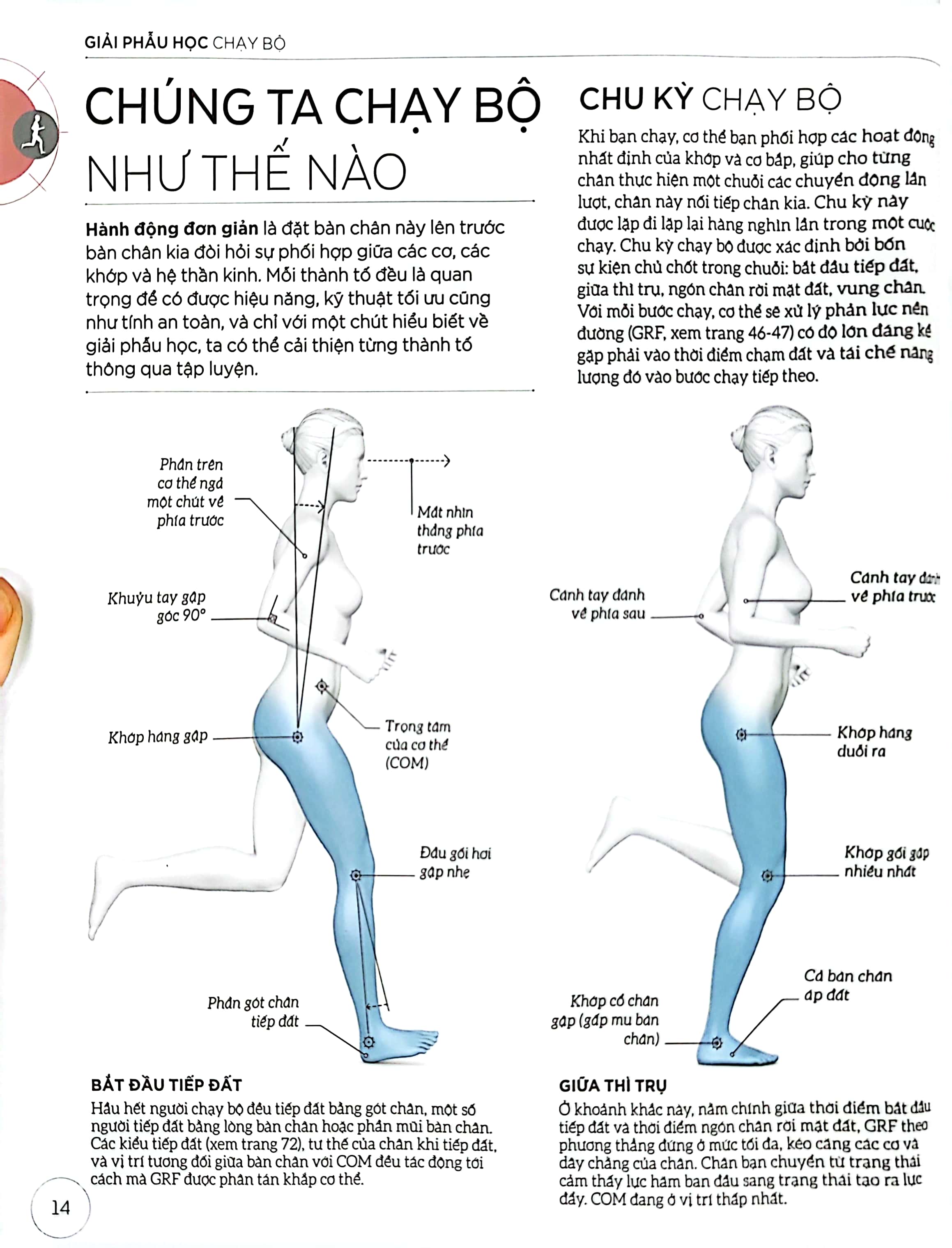 khoa học về chạy bộ - phân tích kỹ thuật, phòng ngừa chấn thương, đổi mới cách tập luyện - bìa cứng