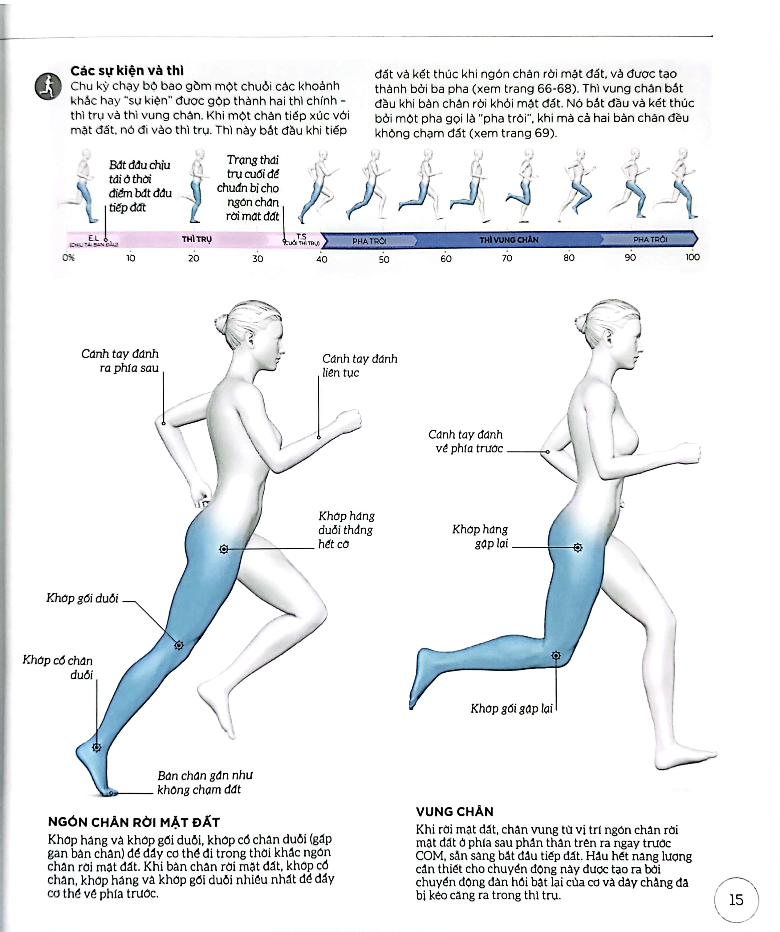 khoa học về chạy bộ - phân tích kỹ thuật, phòng ngừa chấn thương, đổi mới cách tập luyện - bìa cứng