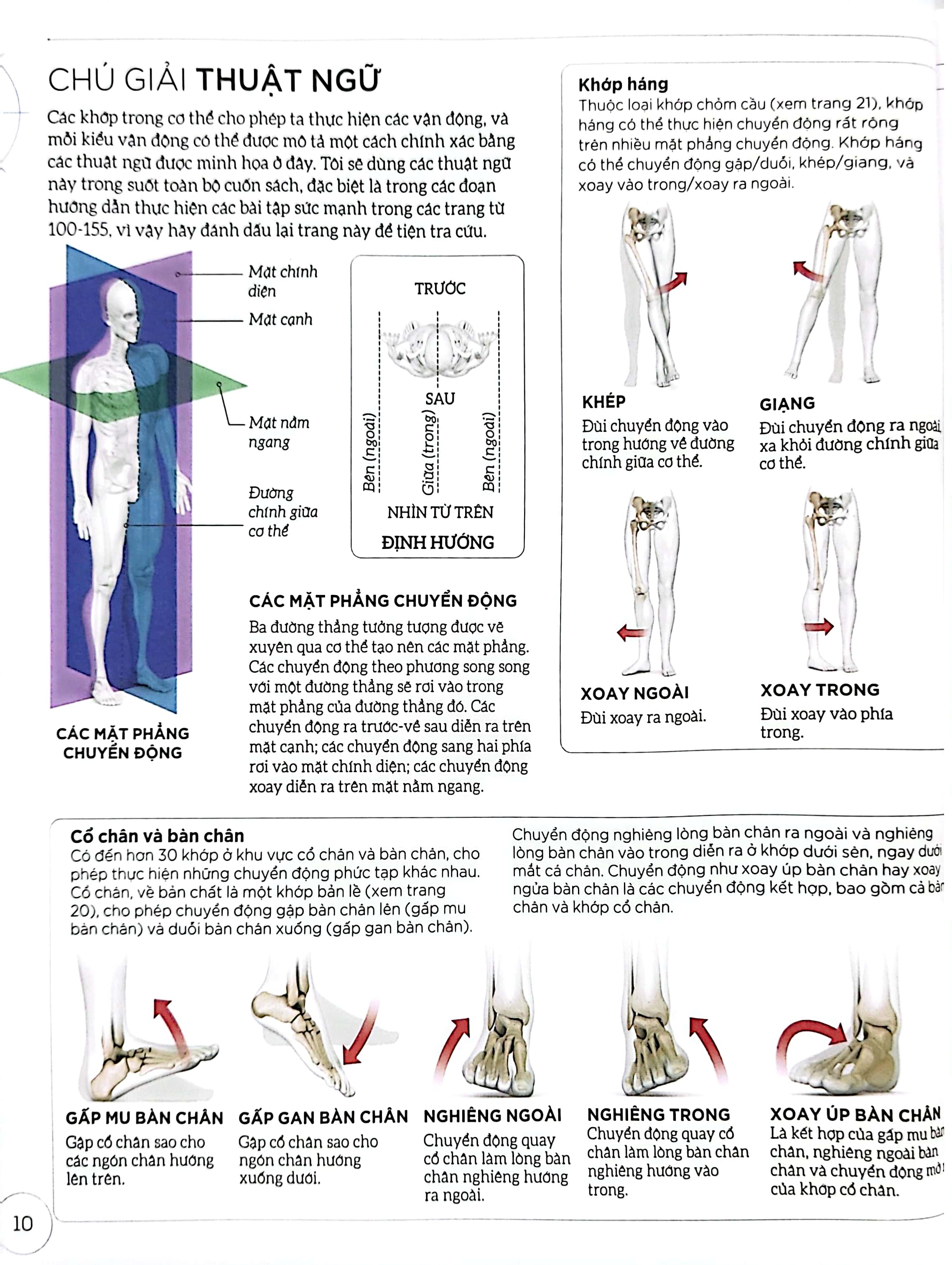 khoa học về chạy bộ - phân tích kỹ thuật, phòng ngừa chấn thương, đổi mới cách tập luyện - bìa cứng