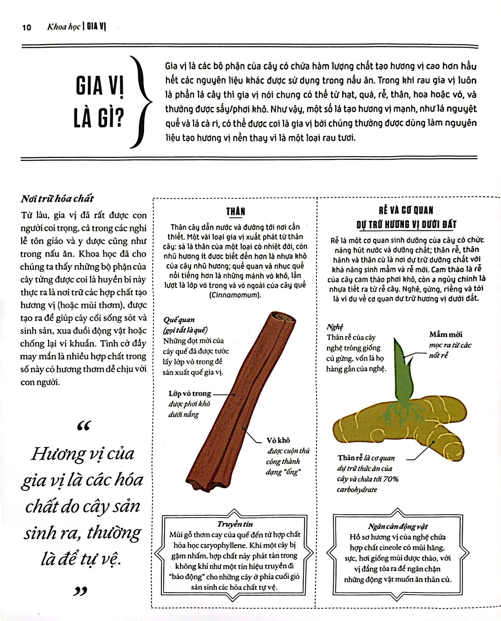 khoa học về gia vị - hiểu các kết nối hương vị và cách mạng hóa việc nấu ăn - bìa cứng