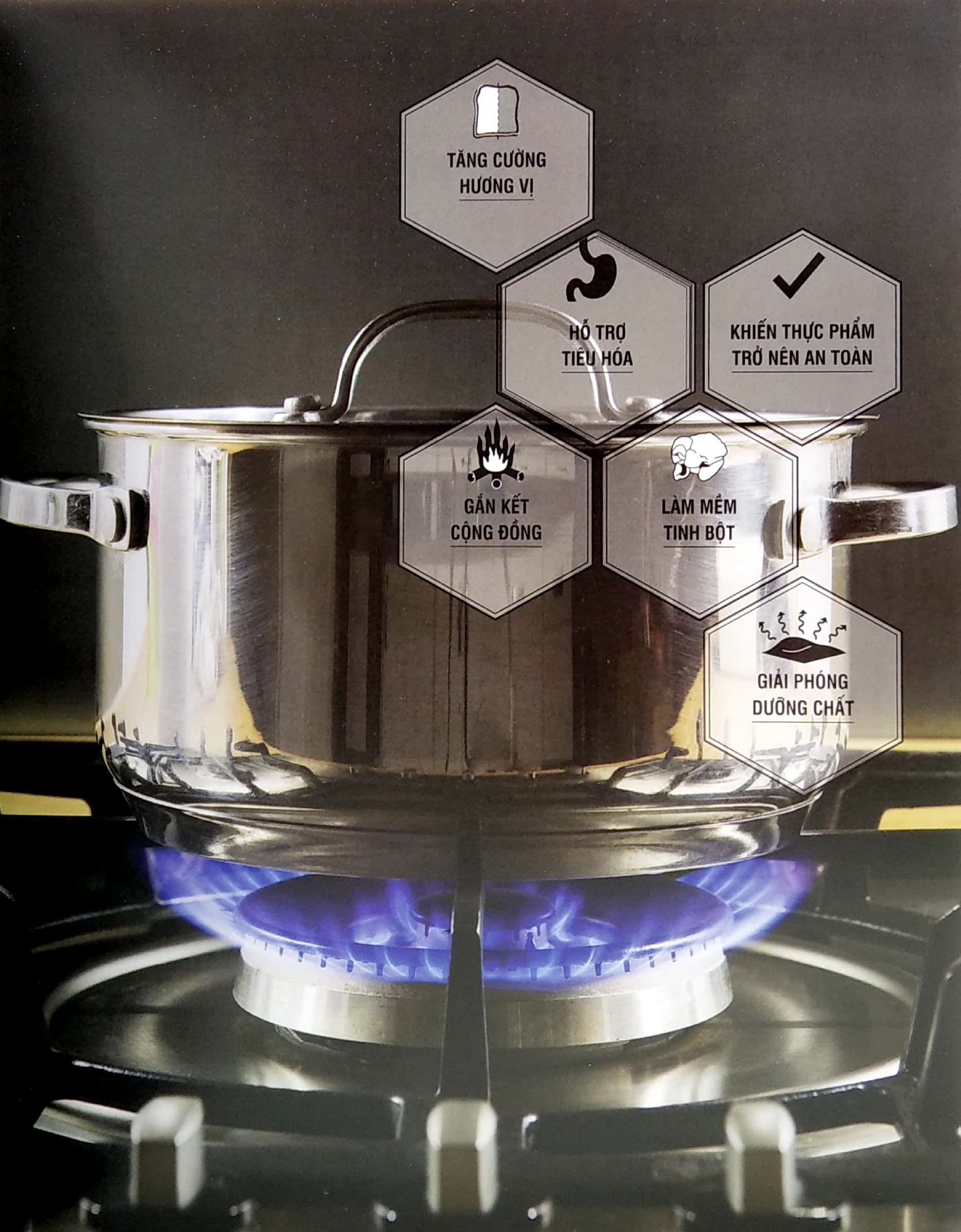 khoa học về nấu ăn - the science of cooking