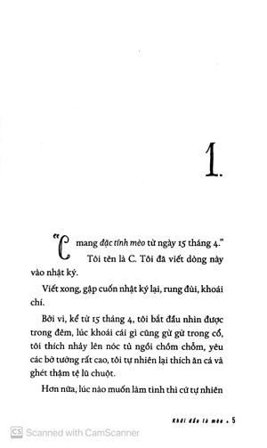 khởi đầu là mèo