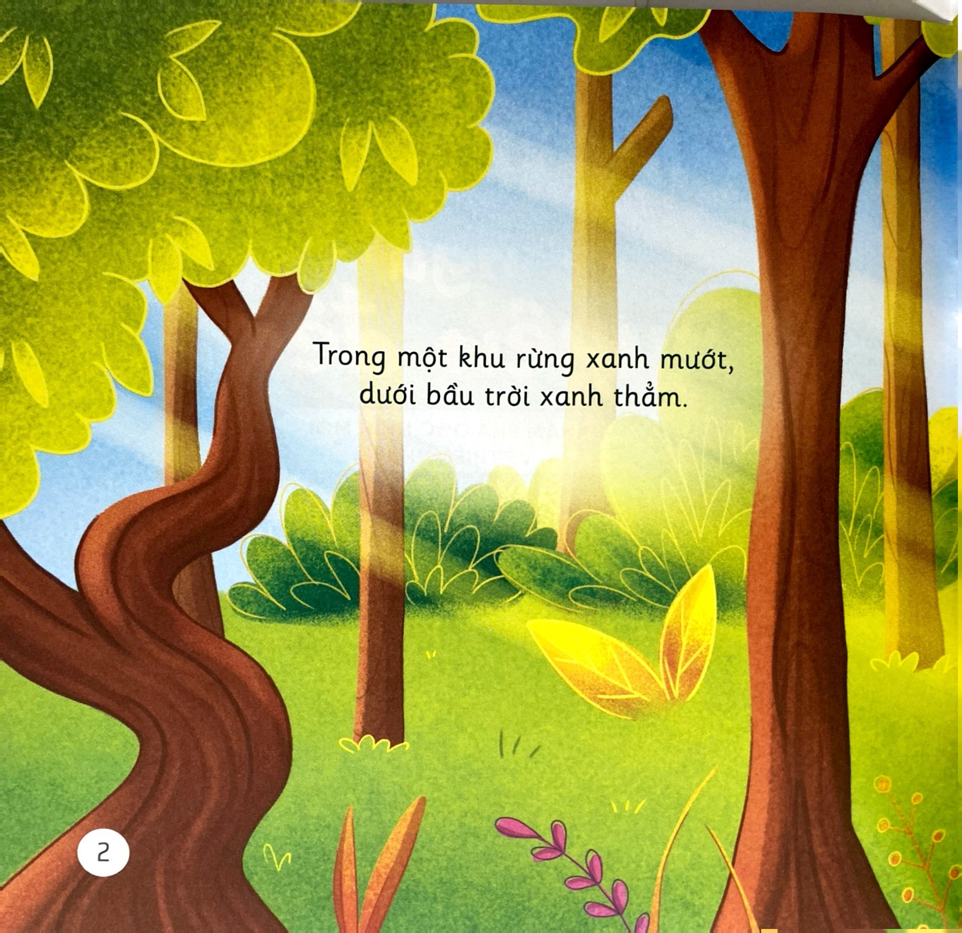 khơi gợi trí tưởng tượng và sáng tạo - cú mèo ollie ngủ xuyên đêm - khám phá góc nhìn mới về thiên nhiên