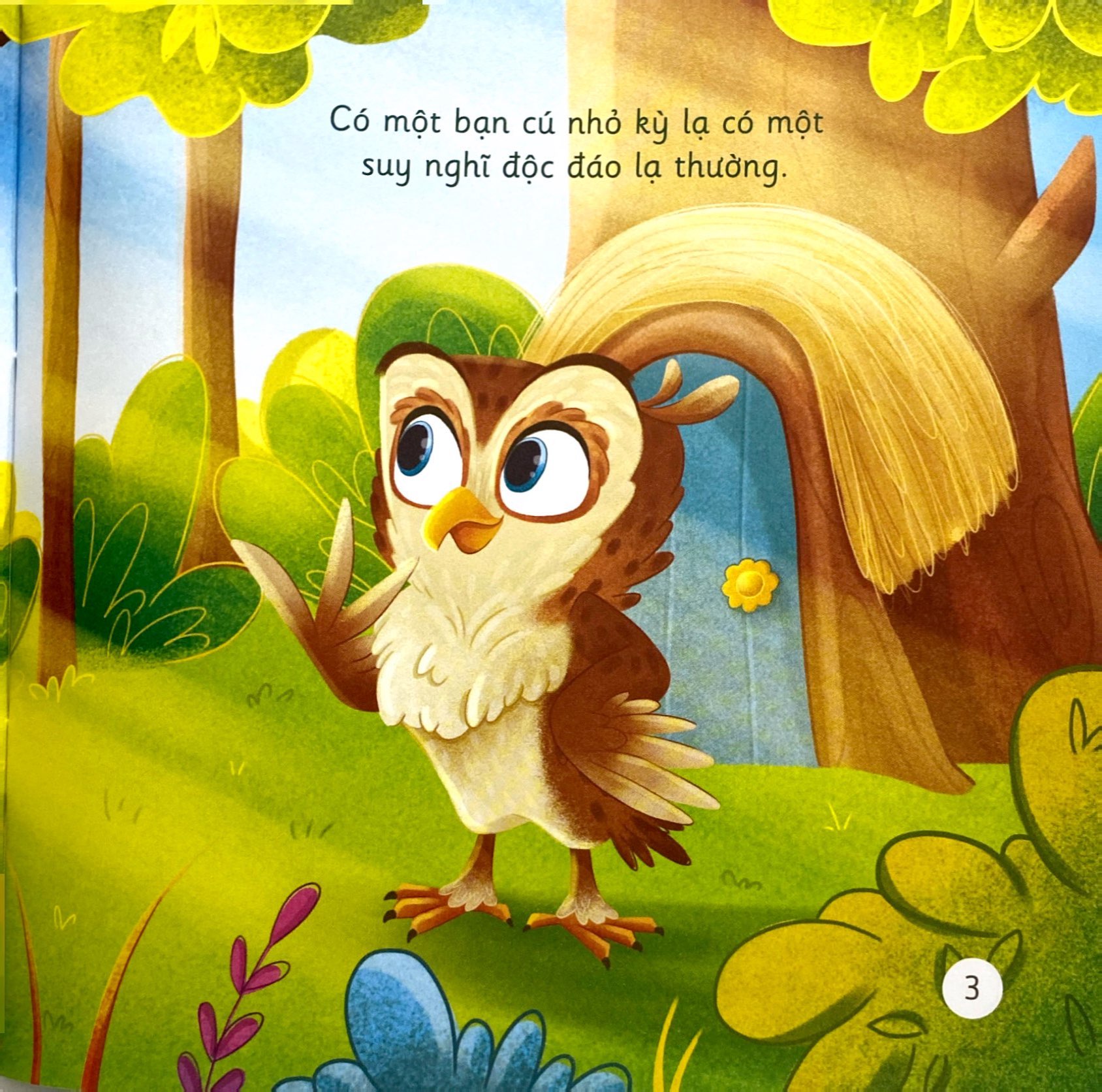 khơi gợi trí tưởng tượng và sáng tạo - cú mèo ollie ngủ xuyên đêm - khám phá góc nhìn mới về thiên nhiên