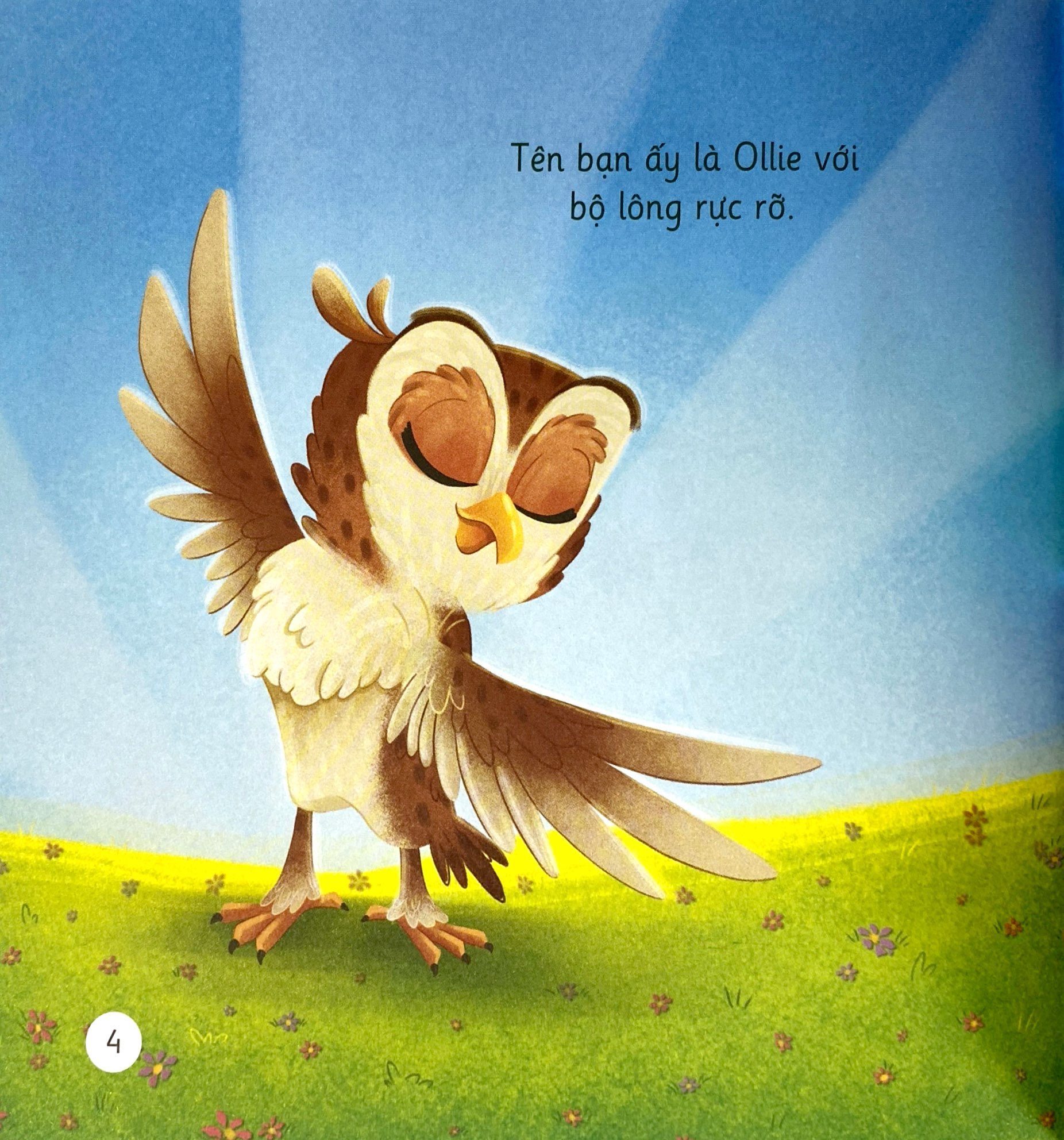 khơi gợi trí tưởng tượng và sáng tạo - cú mèo ollie ngủ xuyên đêm - khám phá góc nhìn mới về thiên nhiên