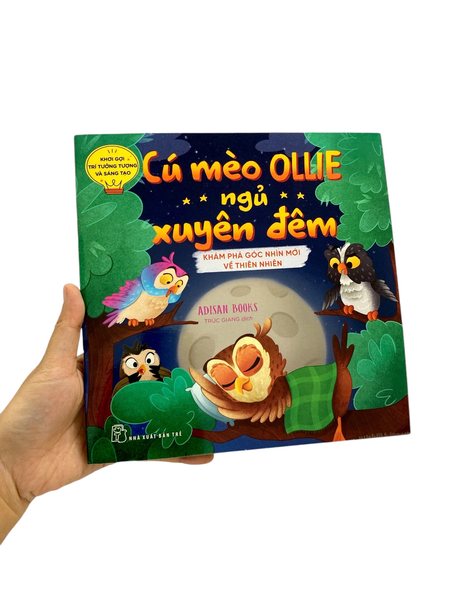khơi gợi trí tưởng tượng và sáng tạo - cú mèo ollie ngủ xuyên đêm - khám phá góc nhìn mới về thiên nhiên