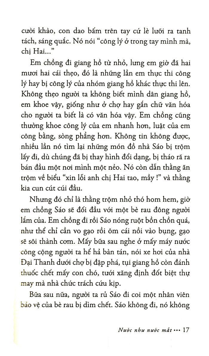 khói trời lộng lẫy (tái bản 2022)