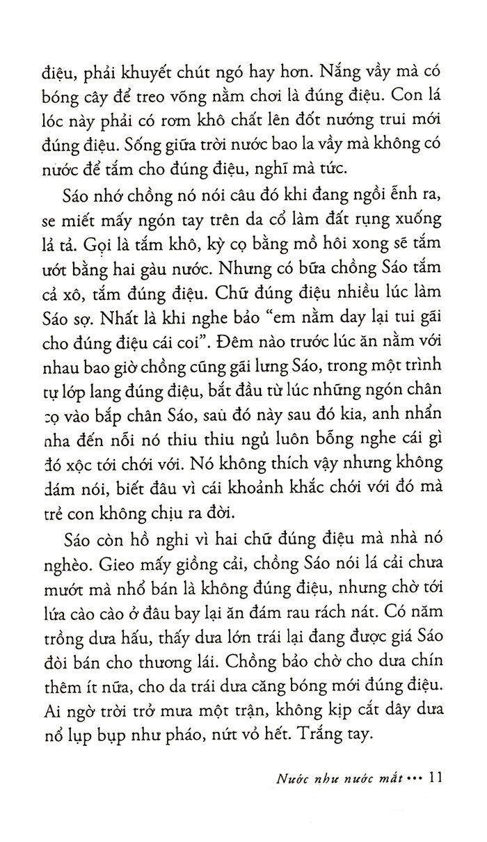 khói trời lộng lẫy (tái bản 2022)