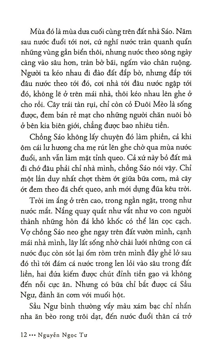 khói trời lộng lẫy (tái bản 2022)