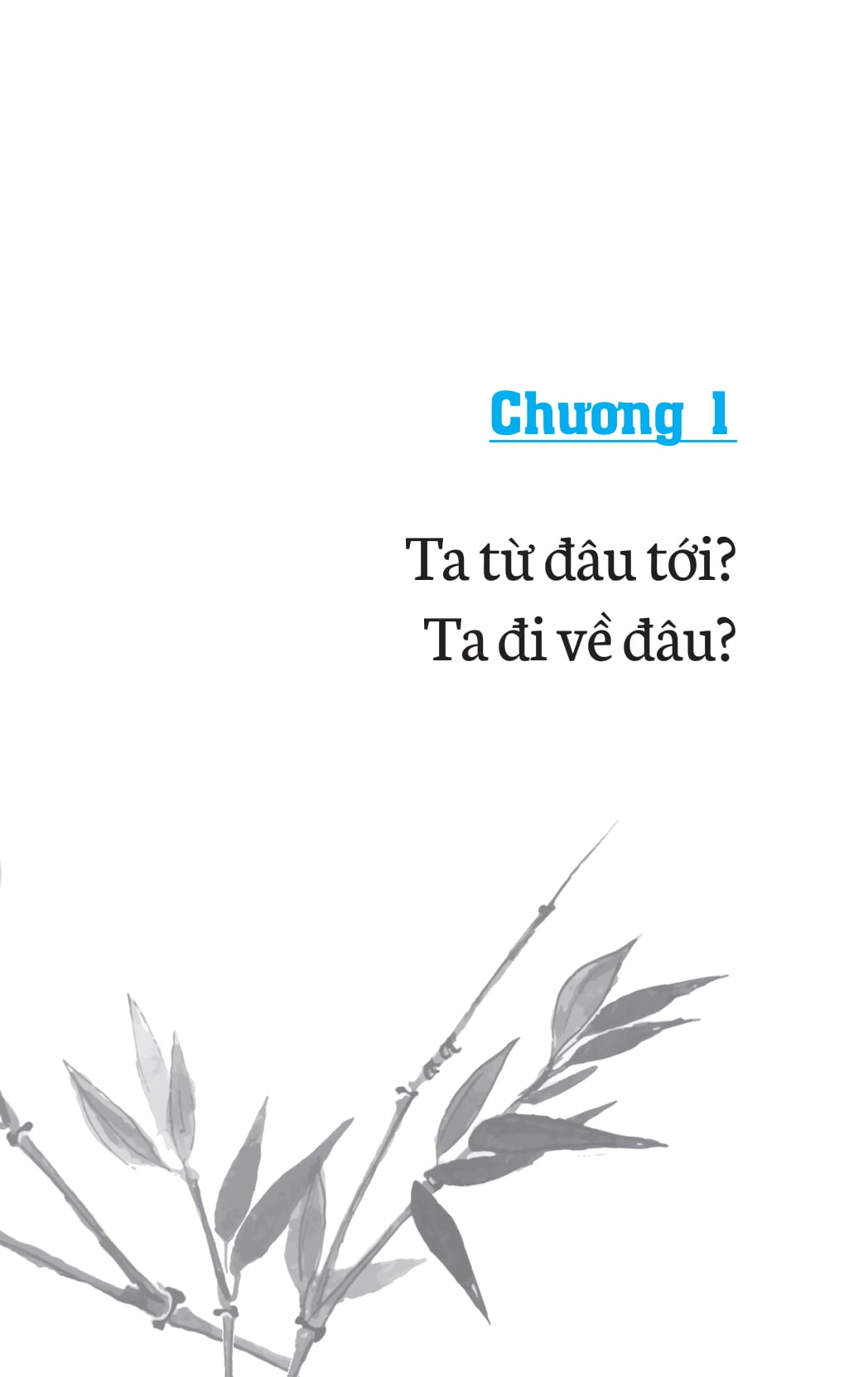 không diệt không sinh đừng sợ hãi (tái bản 2022)