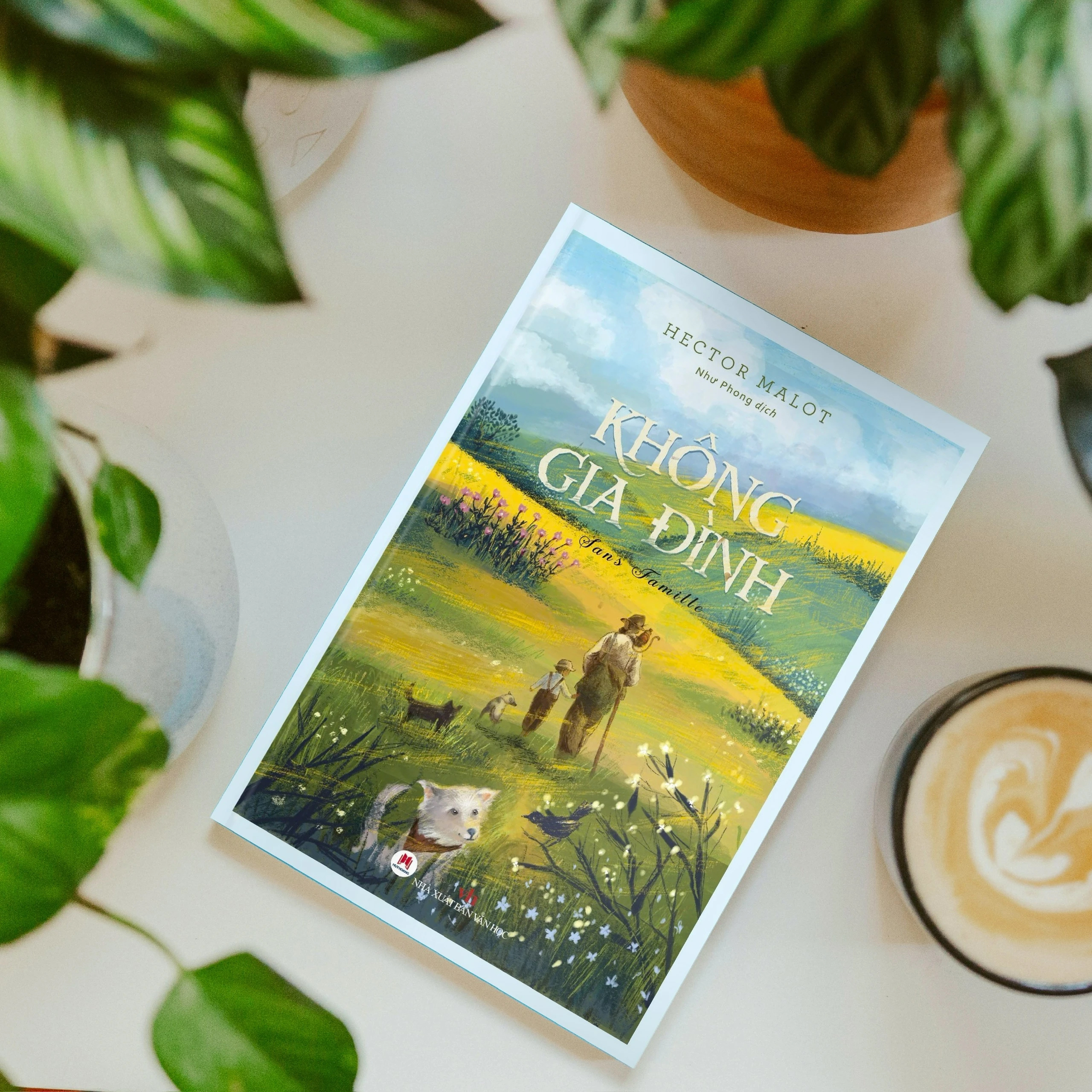 không gia đình - bìa cứng (tái bản 2024)