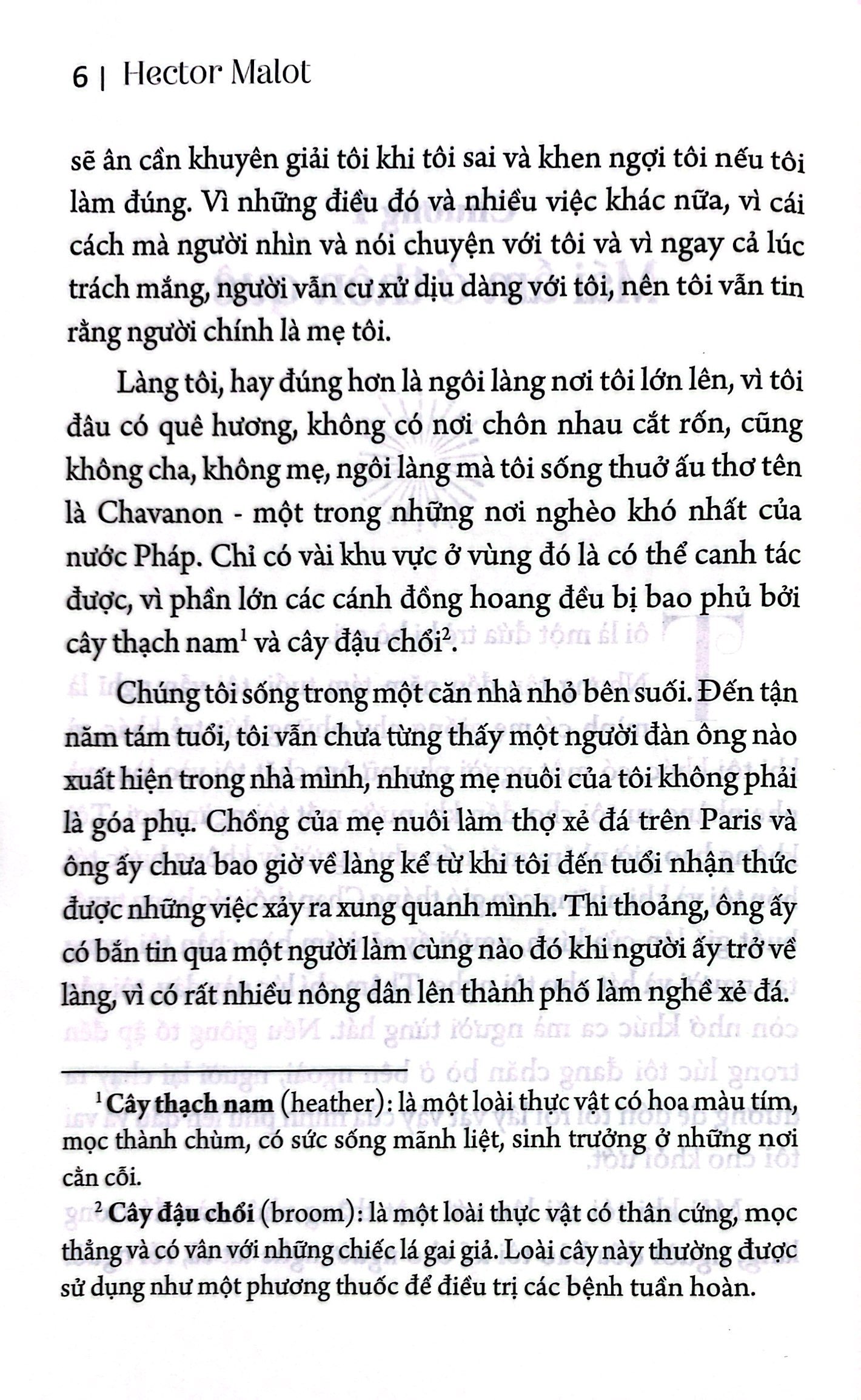 không gia đình (tái bản 2024)