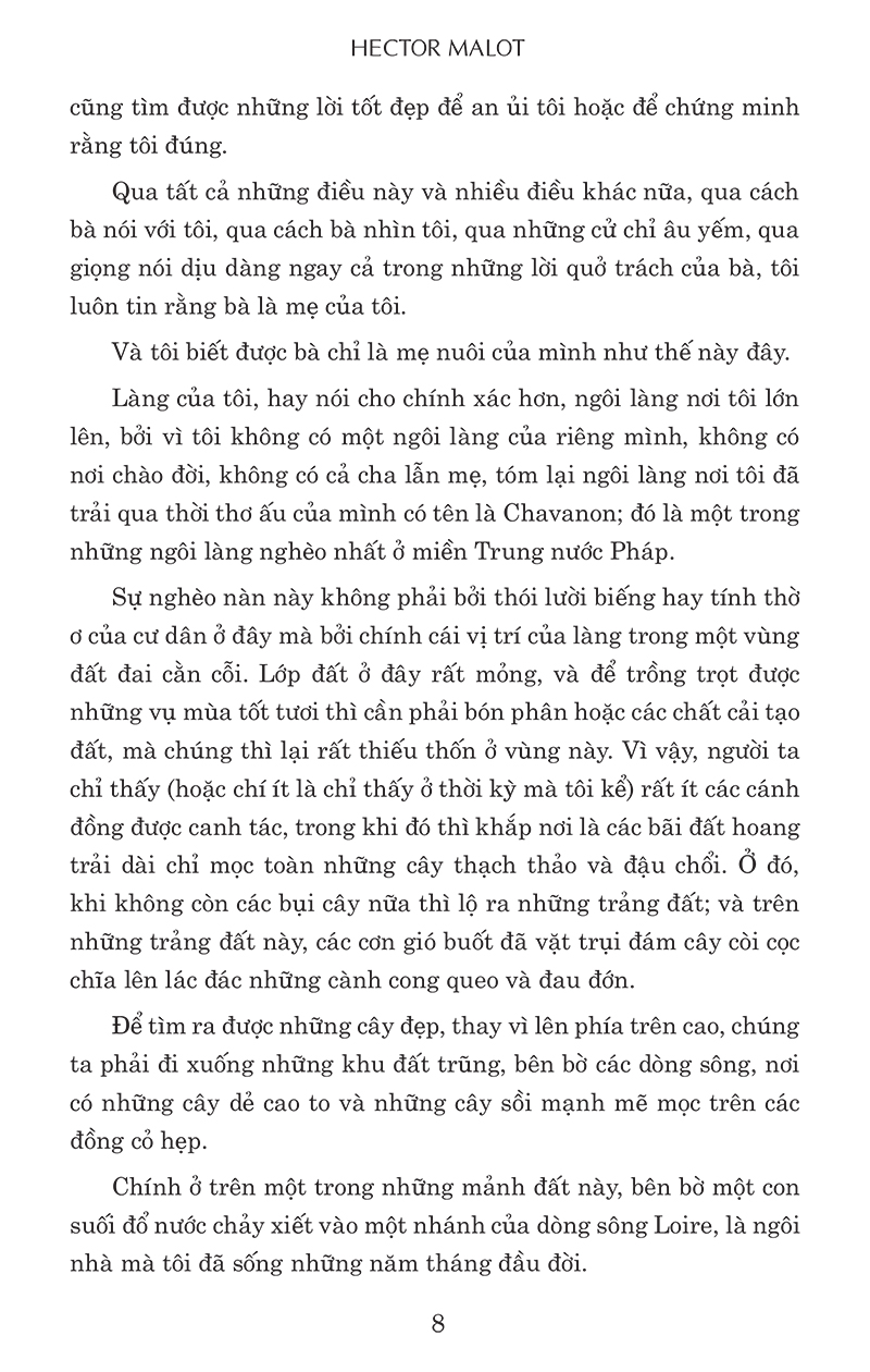 không gia đình (tái bản)