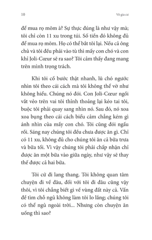 không gia đình - tập 2 - những ngày lưu lạc