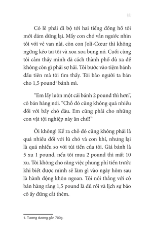 không gia đình - tập 2 - những ngày lưu lạc