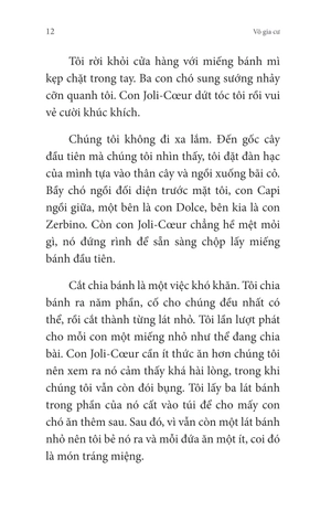 không gia đình - tập 2 - những ngày lưu lạc