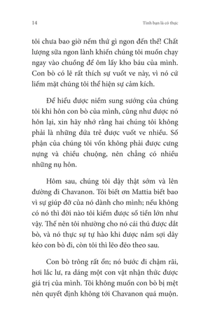 không gia đình - tập 4 - màu sắc của hy vọng