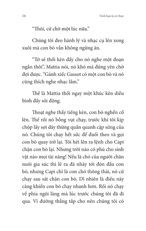 không gia đình - tập 4 - màu sắc của hy vọng