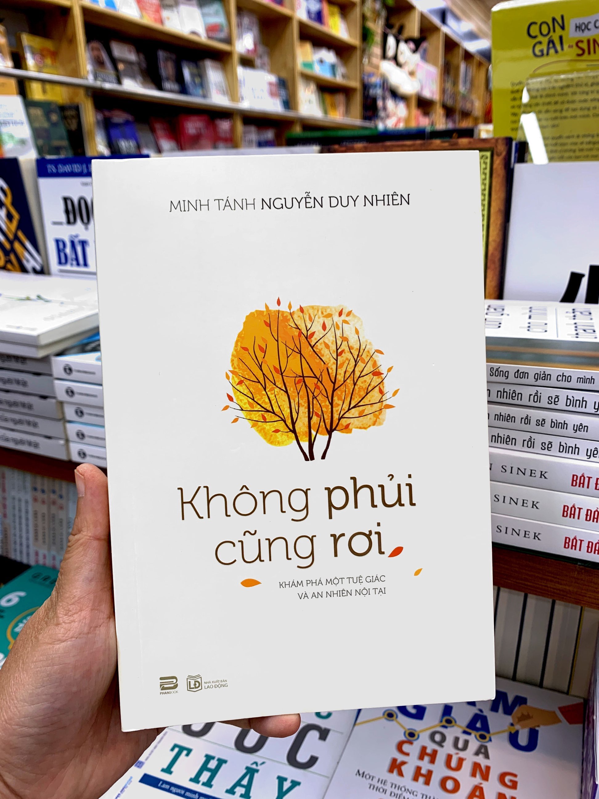 không phủi cũng rơi