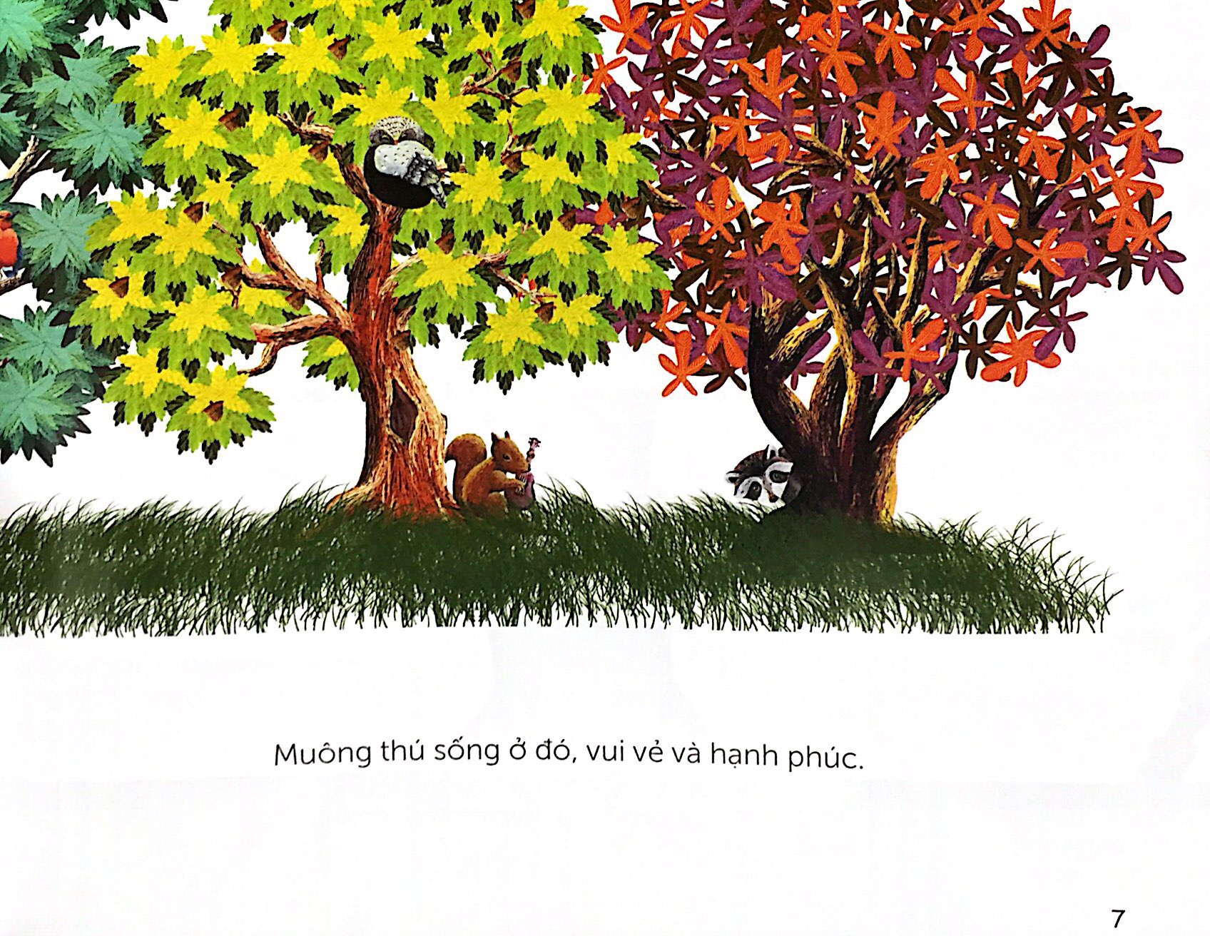 khu rừng cổ tích