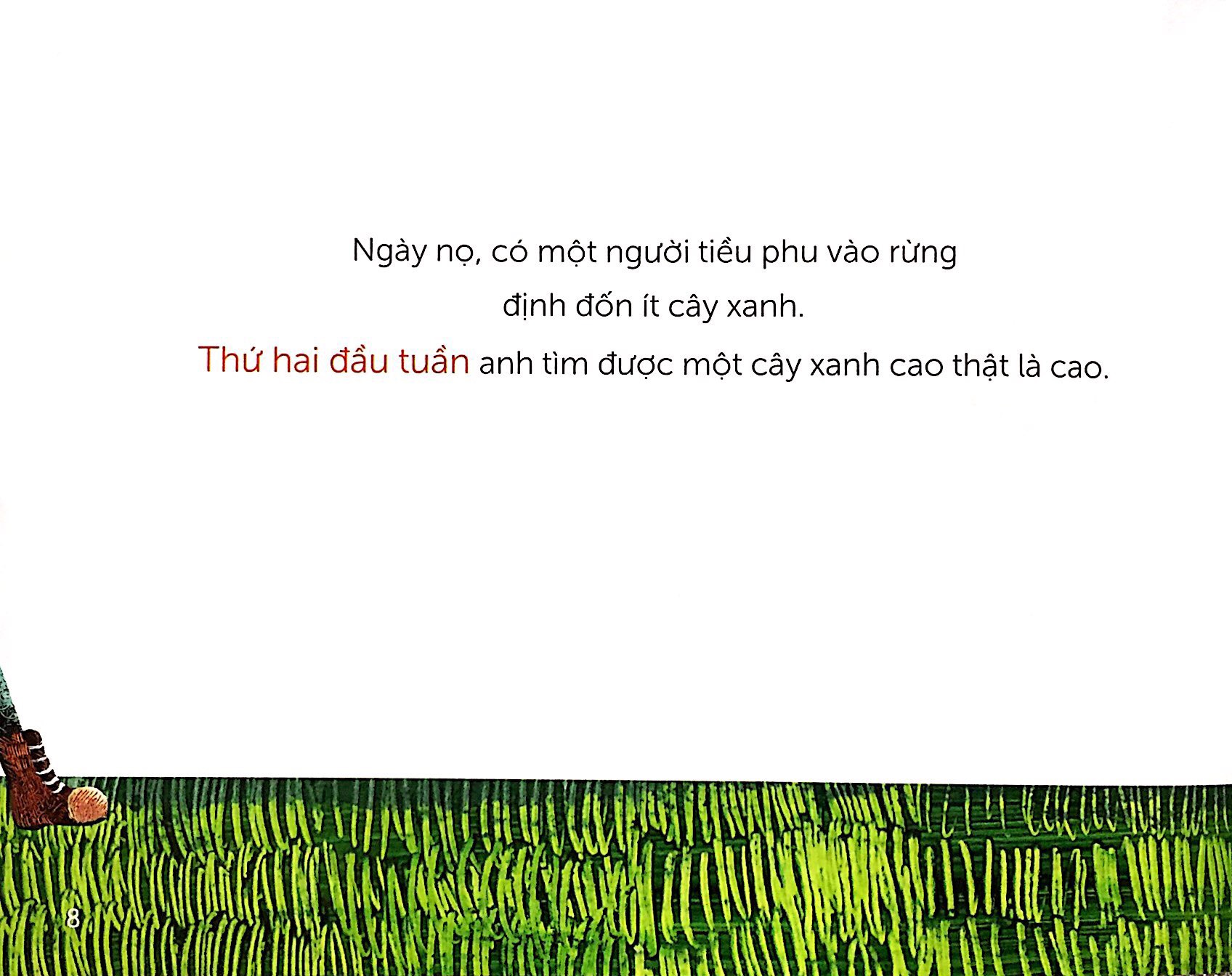 khu rừng cổ tích