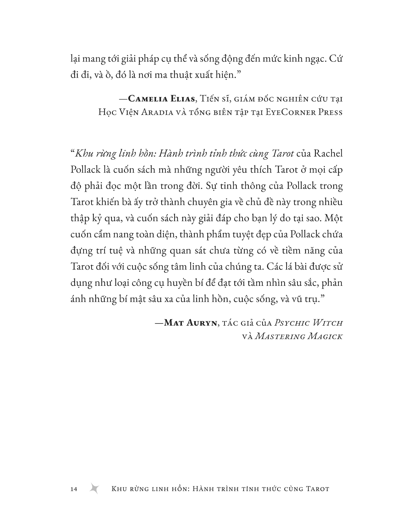 Khu Rung Linh Hon - Hanh Trinh Tinh Thuc Cung Tarot