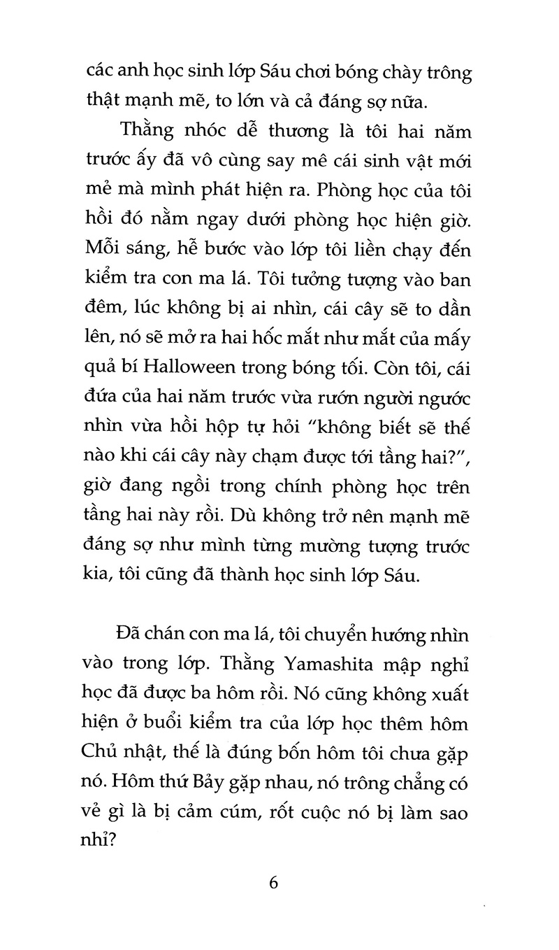 khu vườn mùa hạ (tái bản 2020)