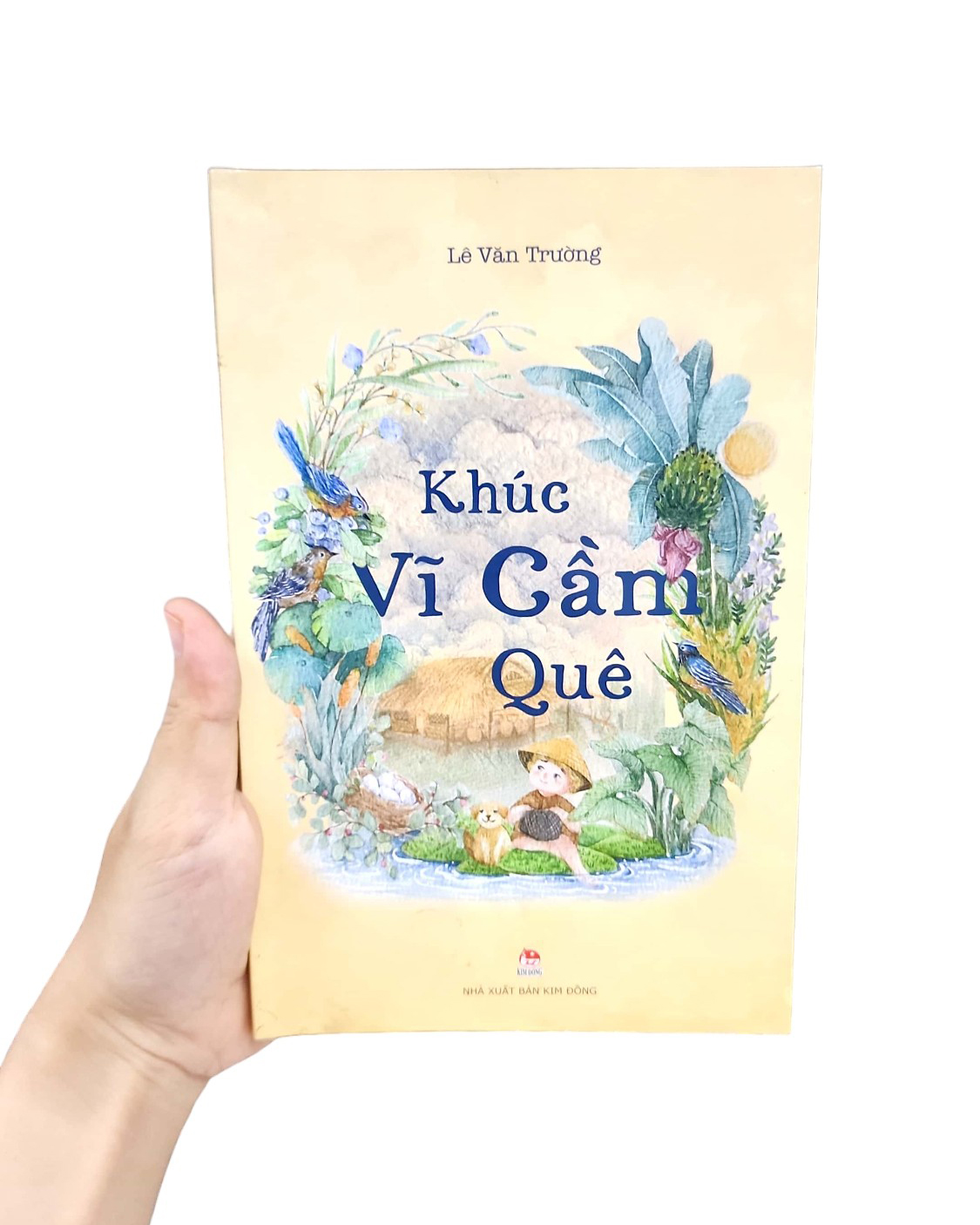 khúc vĩ cầm quê