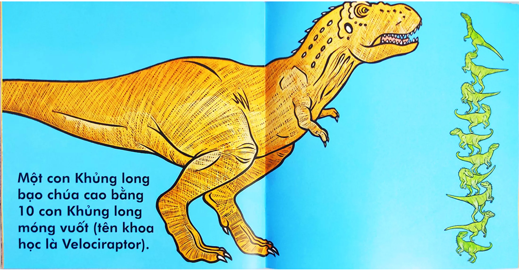 khủng long bạo chúa cao chừng nào? (tái bản 2023)