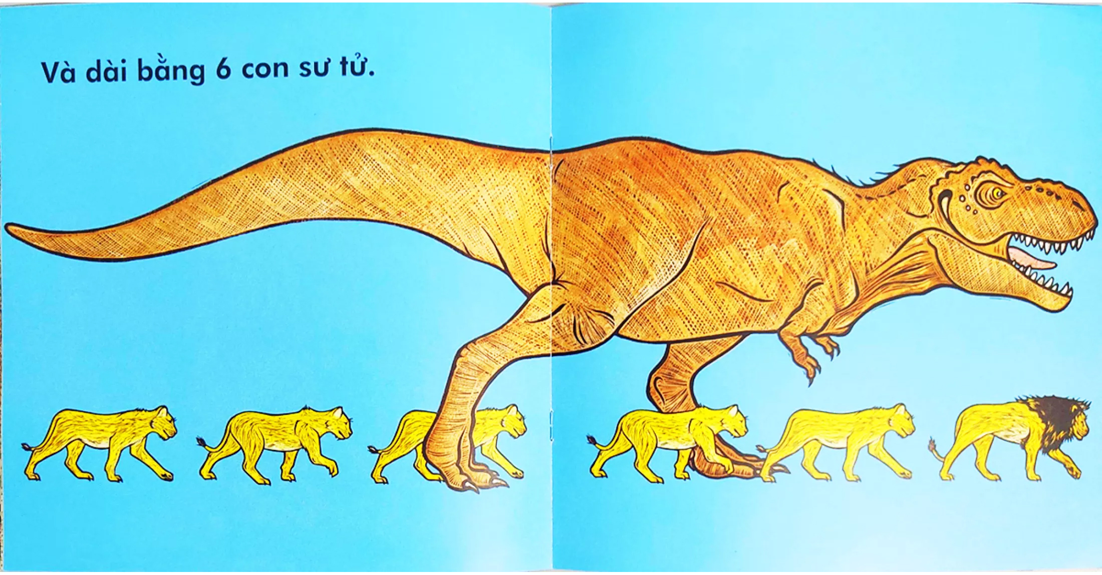 khủng long bạo chúa cao chừng nào? (tái bản 2023)