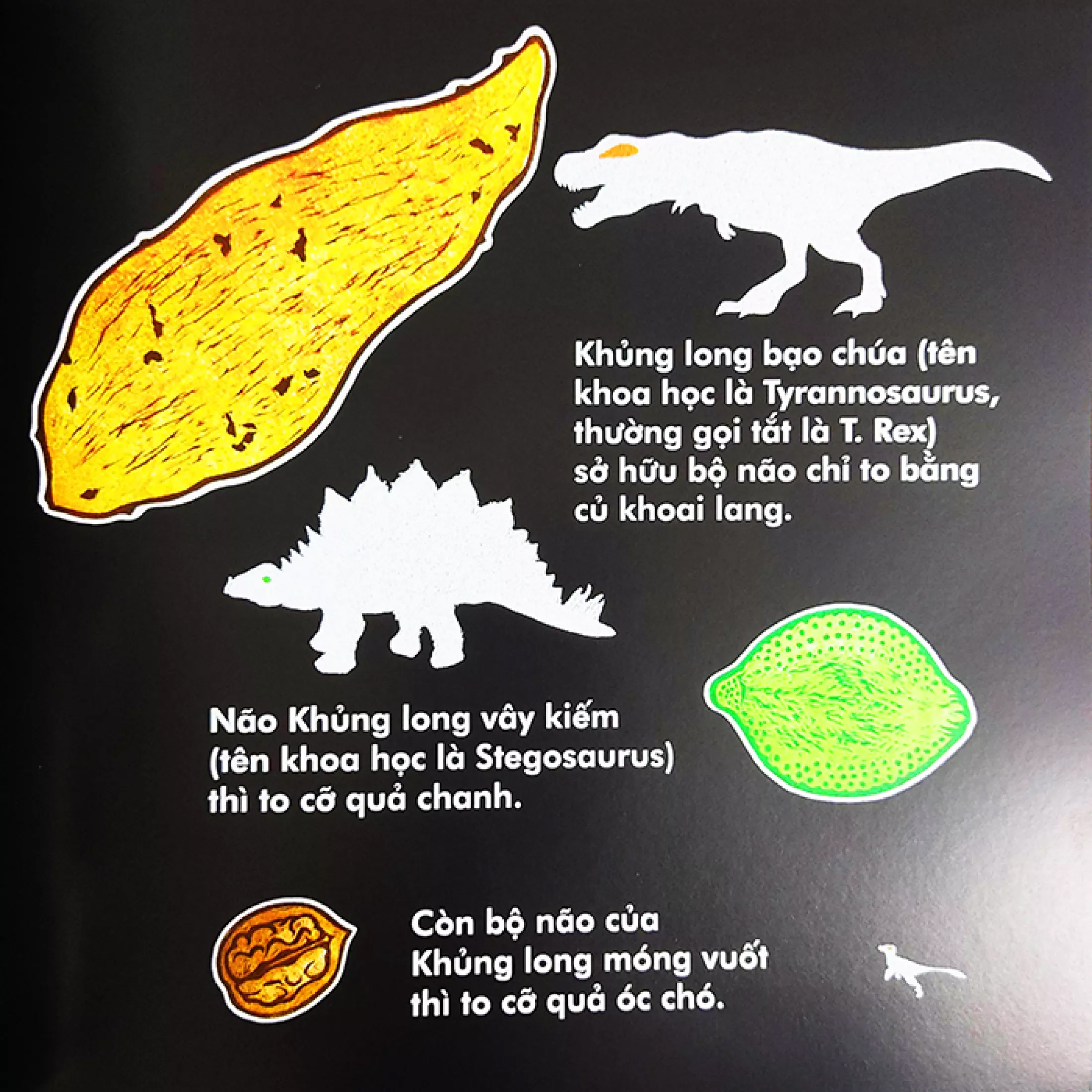 khủng long móng vuốt chạy nhanh chừng nào? (tái bản 2023)