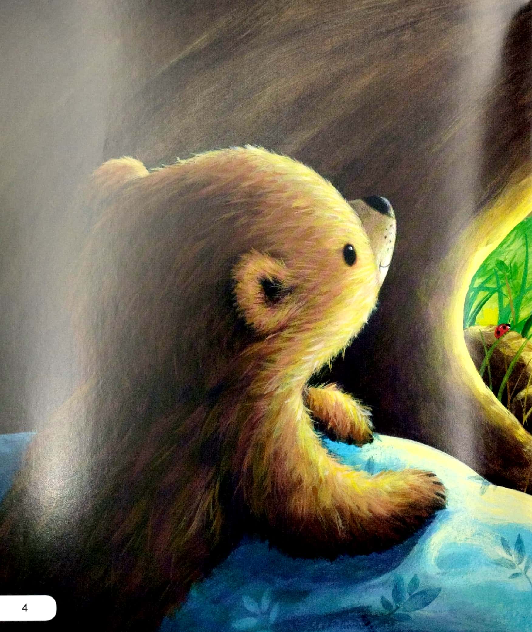 kĩ năng ứng xử với bạn bè - biết giúp đỡ - gấu nhỏ làm bạn cùng rùa