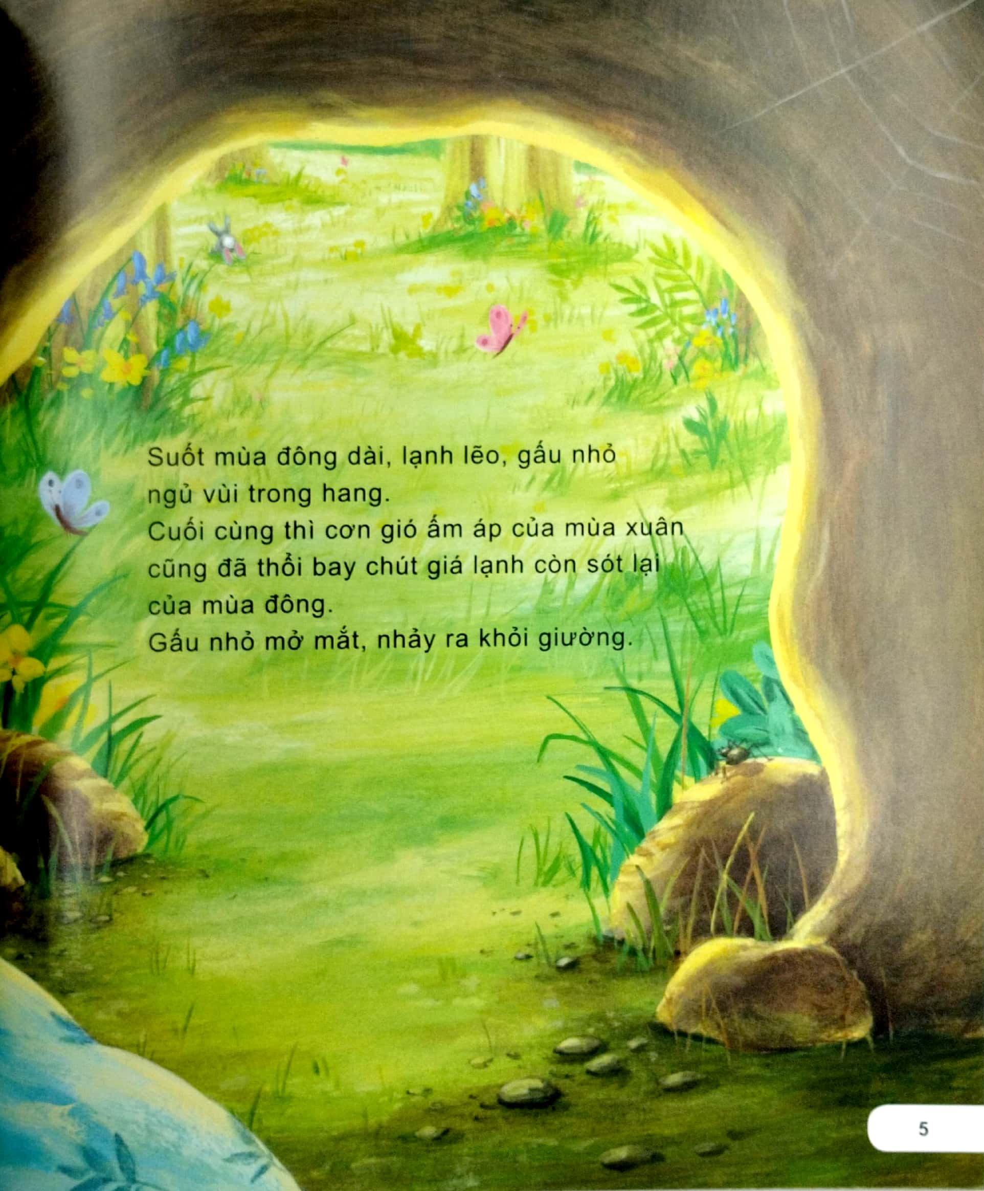 kĩ năng ứng xử với bạn bè - biết giúp đỡ - gấu nhỏ làm bạn cùng rùa