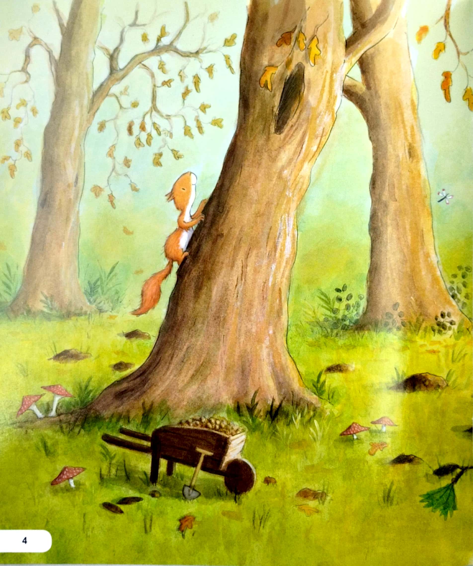 kĩ năng ứng xử với bạn bè - biết hoà nhập - sóc và chim thành bạn