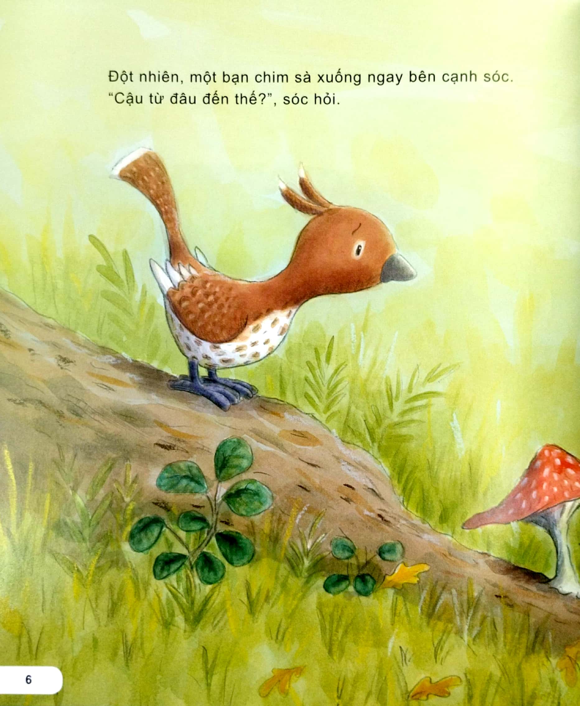 kĩ năng ứng xử với bạn bè - biết hoà nhập - sóc và chim thành bạn