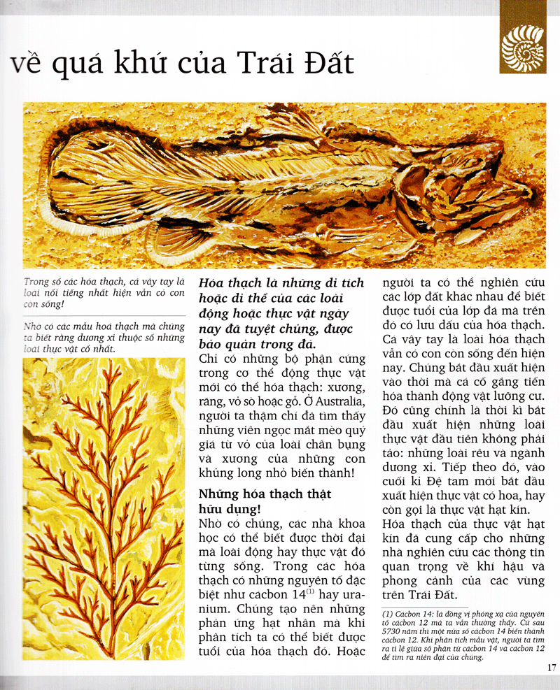 kì quan thiên nhiên (tái bản 2020)