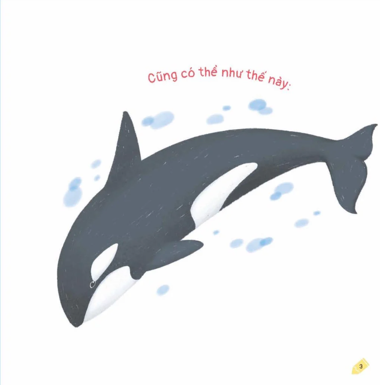 kích thích trí tưởng tượng cho bé - cá voi trông như thế nào?