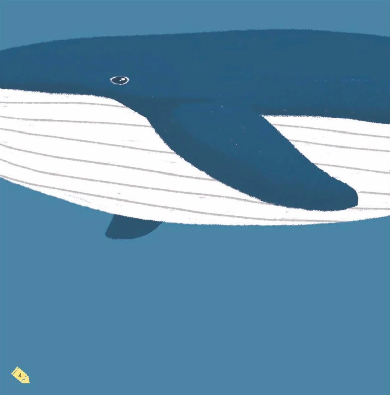 kích thích trí tưởng tượng cho bé - cá voi trông như thế nào?