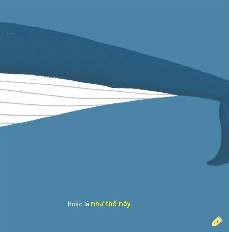 kích thích trí tưởng tượng cho bé - cá voi trông như thế nào?