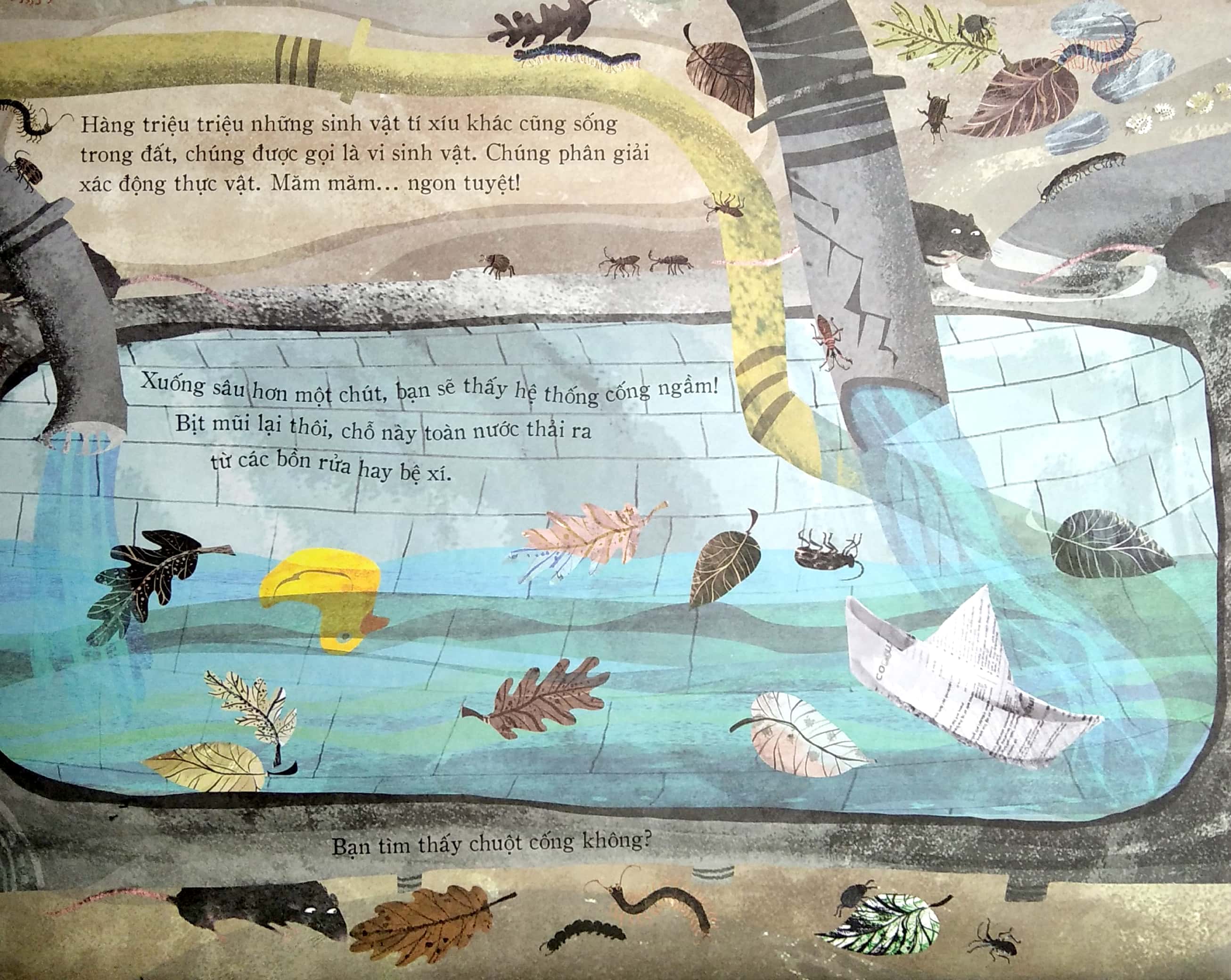 kiến thức bất tận - bí mật lòng đất