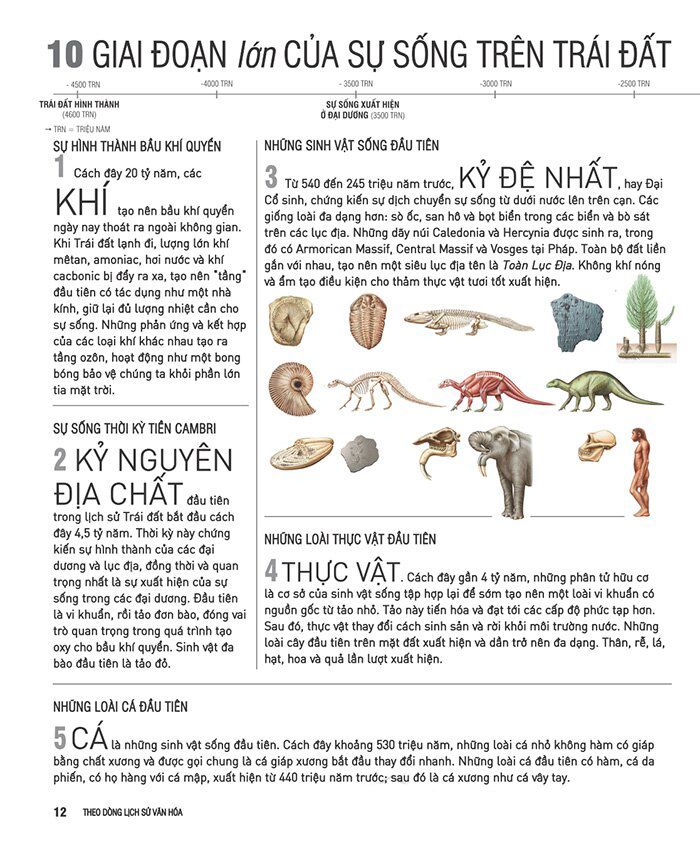 kiến thức căn bản cần biết - theo dòng lịch sử văn hóa