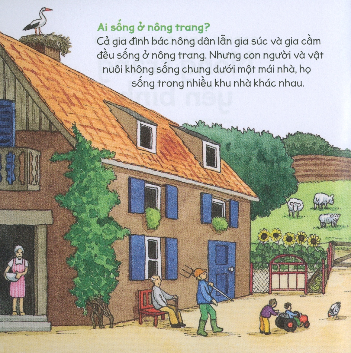 kiến thức tự nhiên xã hội căn bản - nông trang yên bình