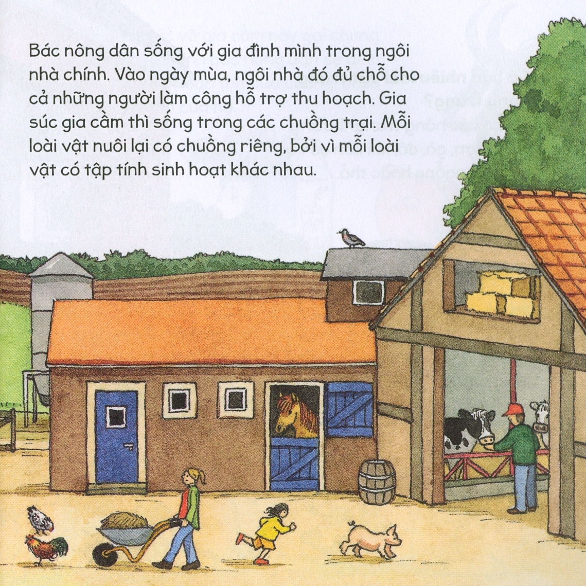 kiến thức tự nhiên xã hội căn bản - nông trang yên bình